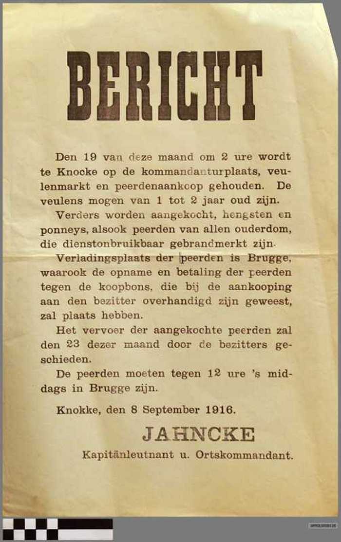 Inrichting van paardenmarkt