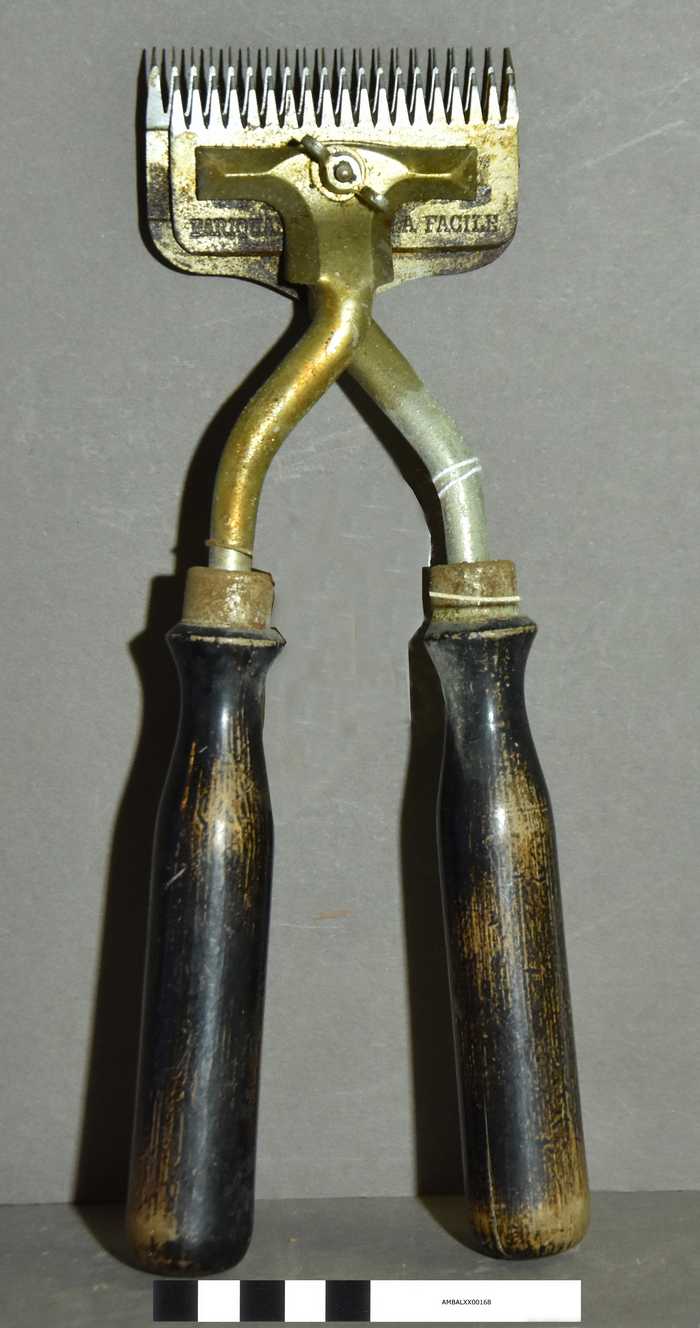 Tondeuse voor schapen