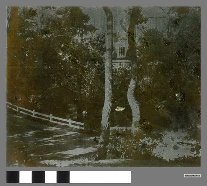 Drukplaat: Bospad in het Zoute