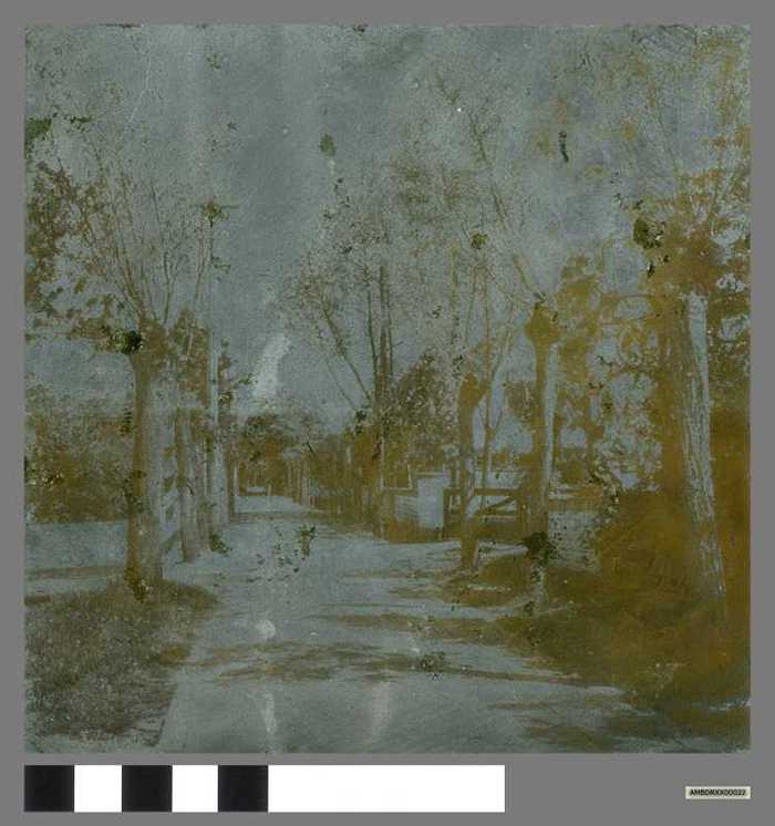 Drukplaat: Pad door het Zoute