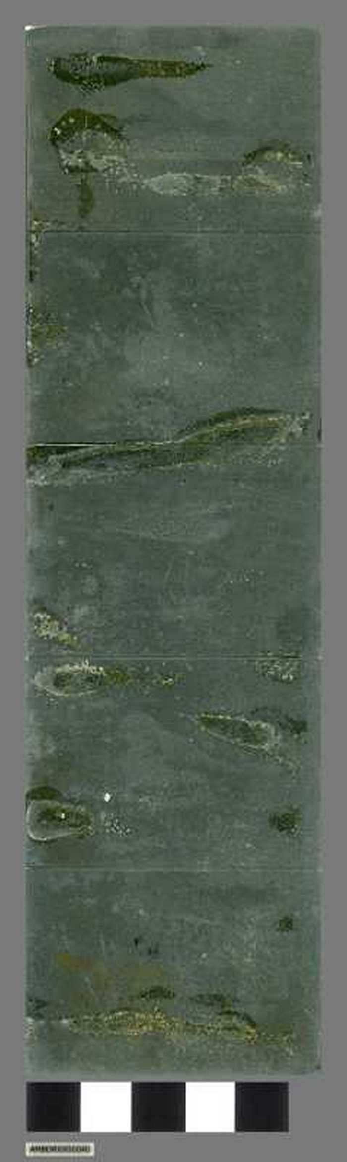 Drukplaat: vijf vogels (onder elkaar)