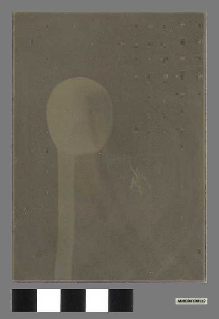 Proefdruk Cartoonale