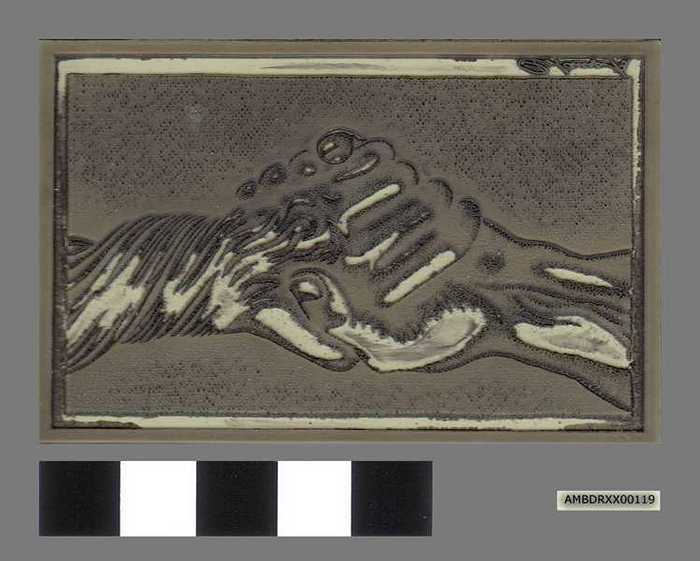 Proefdruk Cartoonale