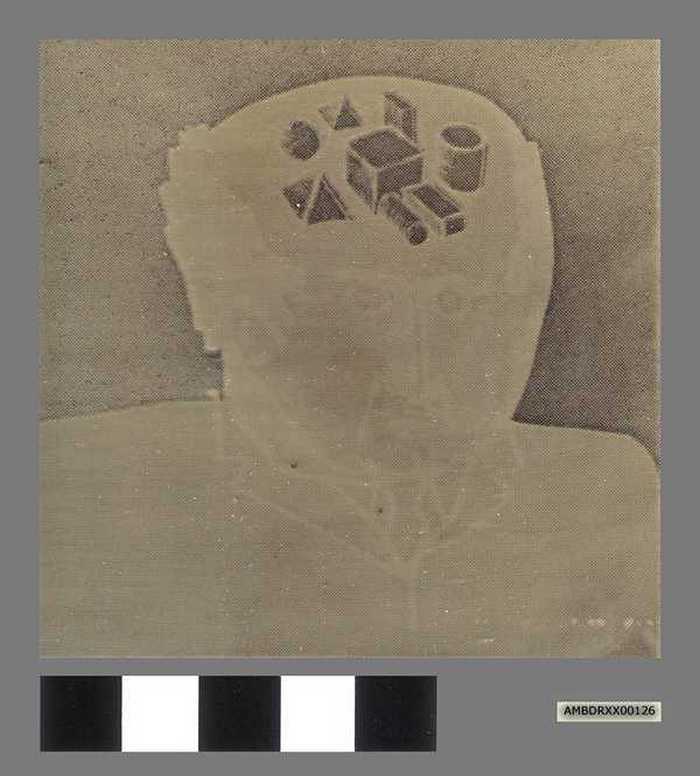 Proefdruk Cartoonale