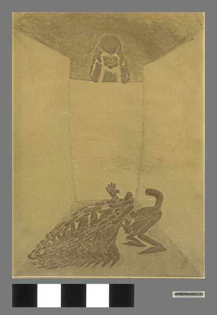 Proefdruk Cartoonale