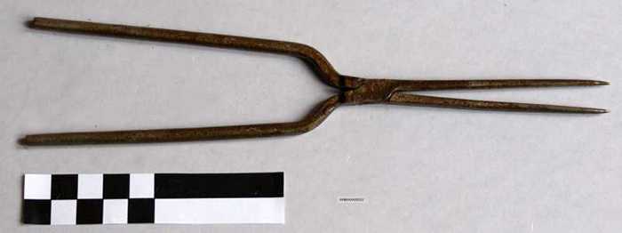 IJzeren haarkrultang