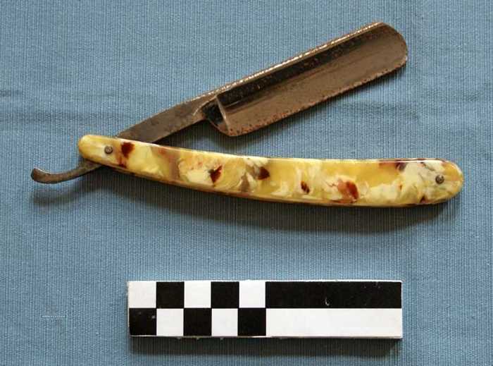 Open scheermes (hoorn)