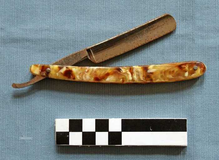 Open scheermes (hoorn)