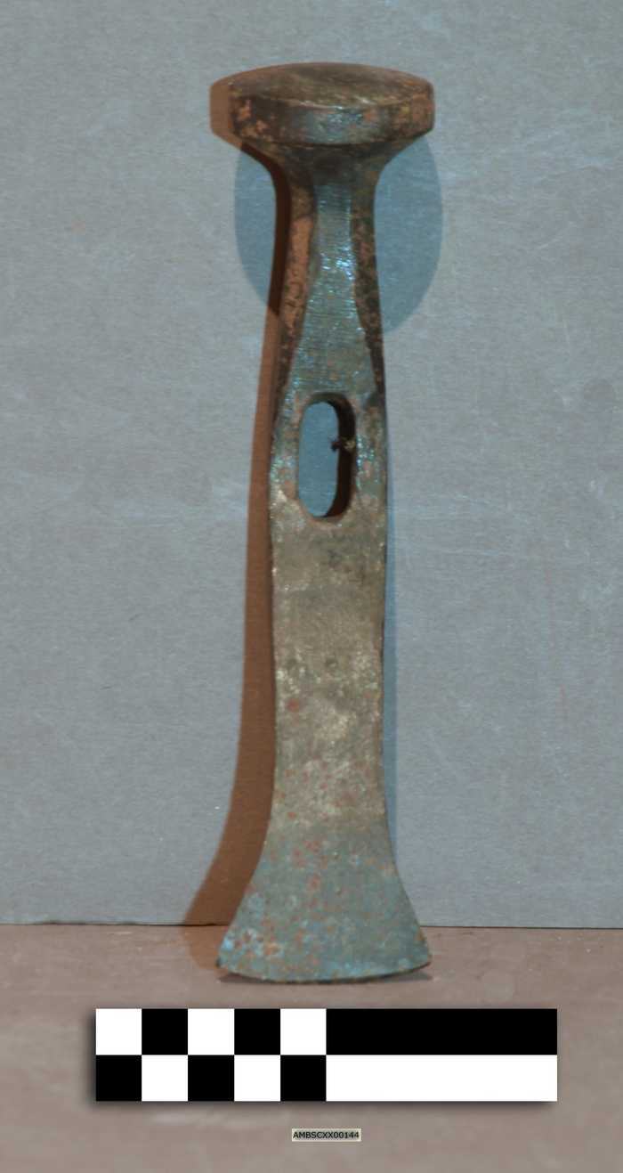 Kop van schoenmakershamer