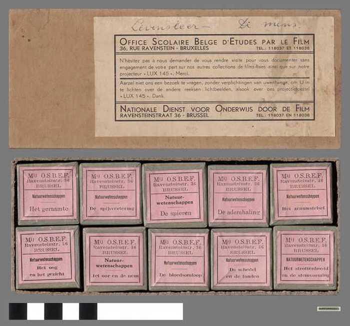 Nationale Dienst voor Onderwijs door Film  - Levensleer - De mens