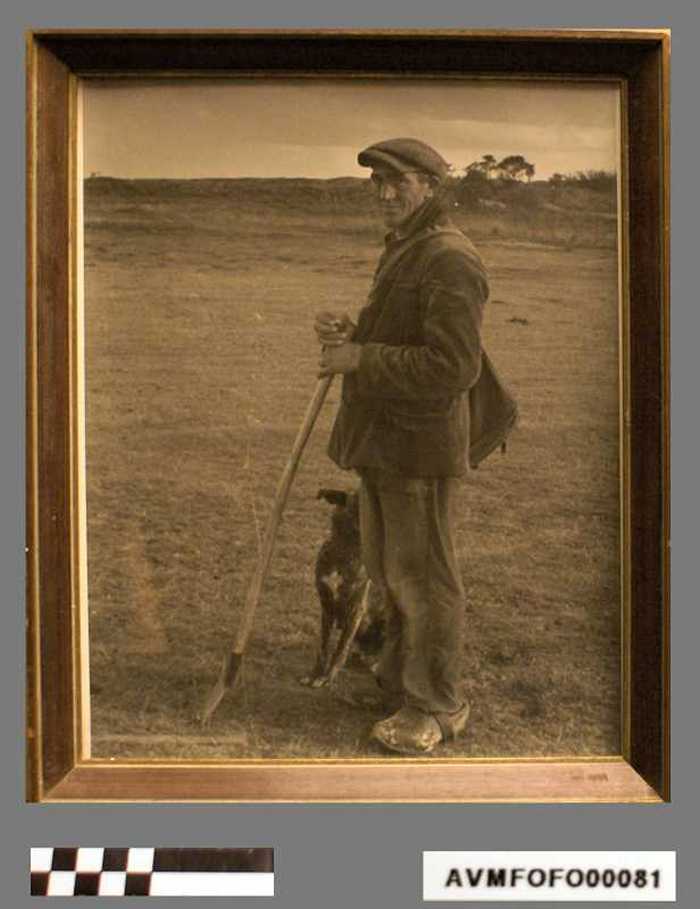 Schaapherder met hond en makke