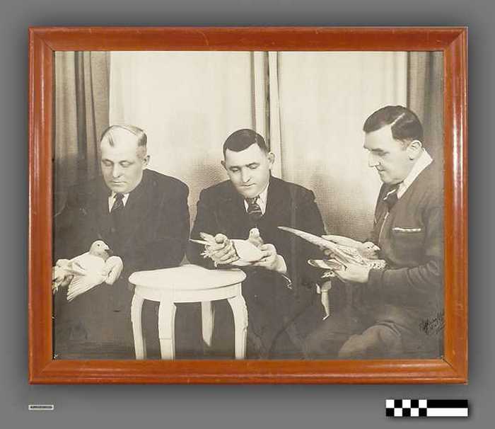 Prijswinnende duiven met hun eigenaar - Duivenmaatschappij 'De Zwaluw'