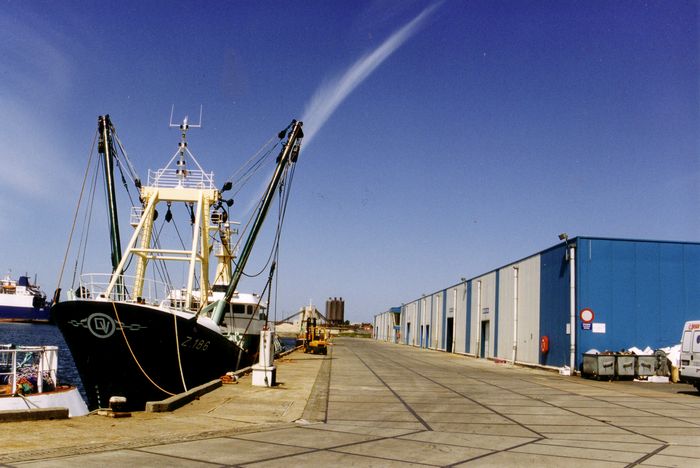 Vismijn Zeebrugge
