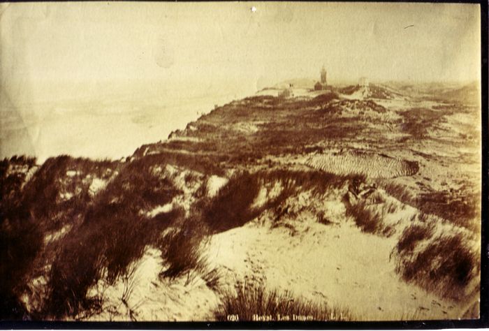 Duinen