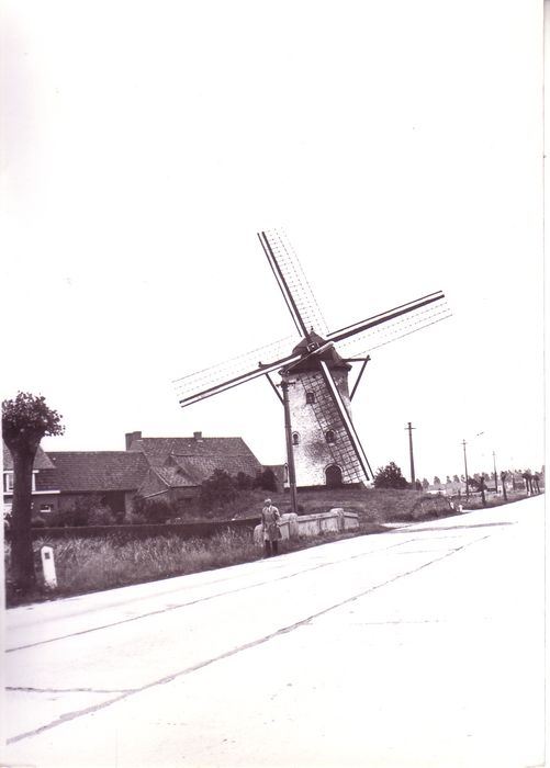 Molen