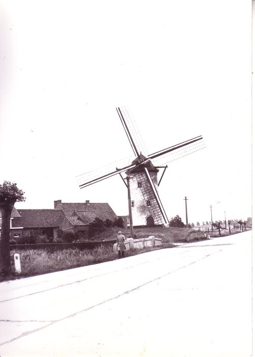 Molen