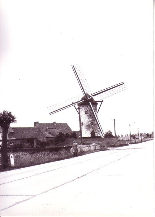 Molen