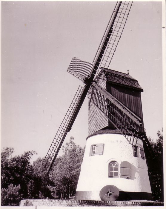 Molen