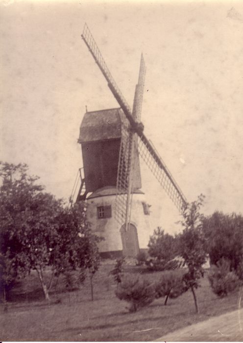 Molen
