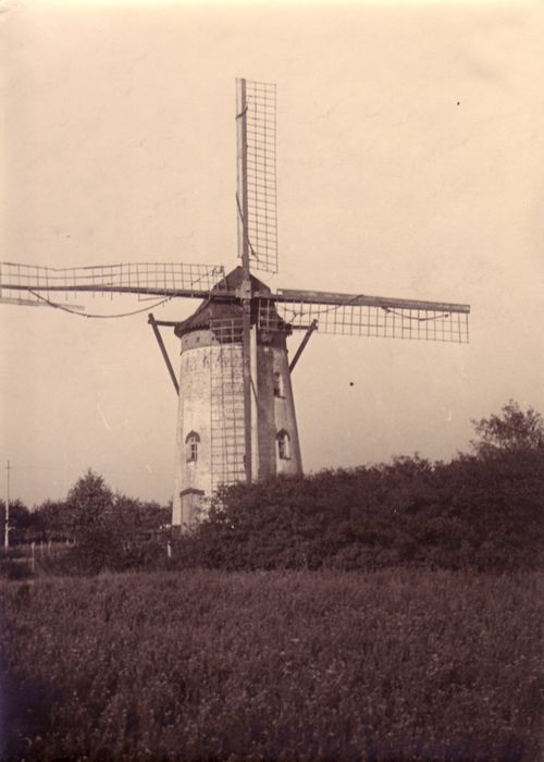 Molen