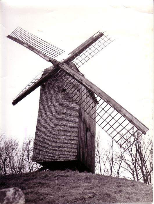 Molen