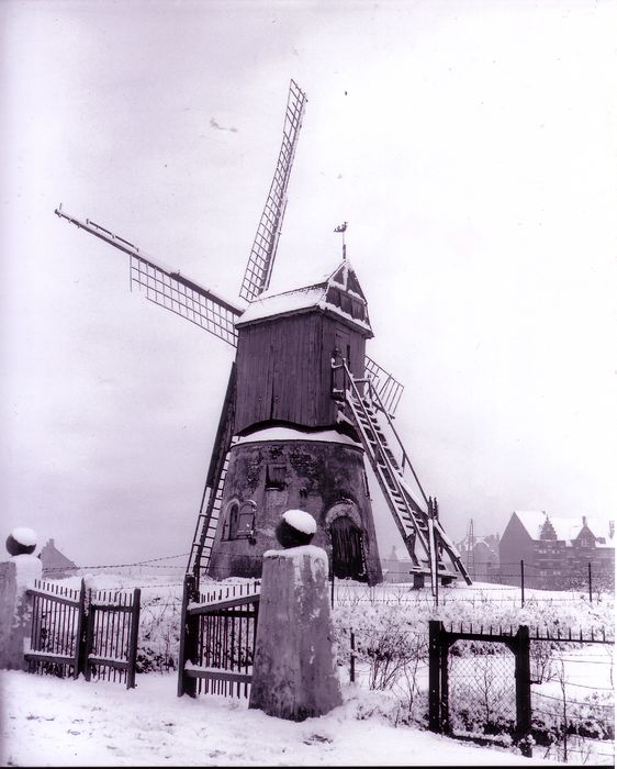 Molen