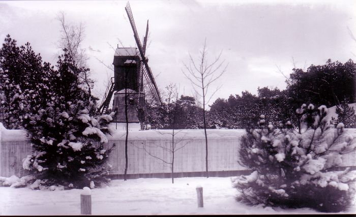 Molen