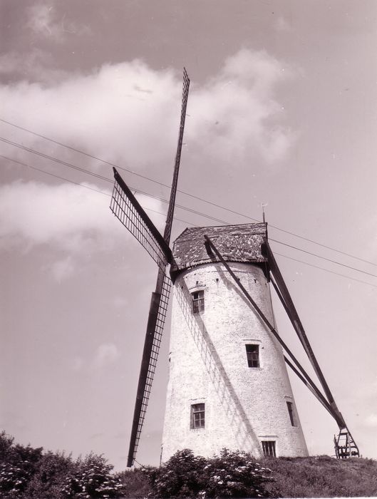 Molen