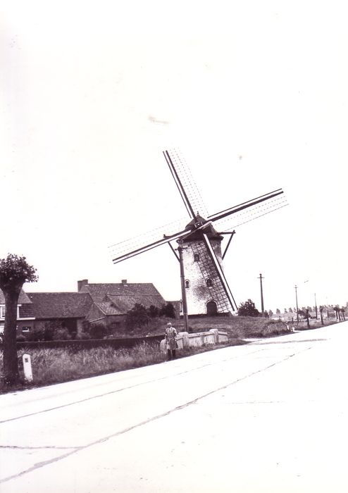 Molen