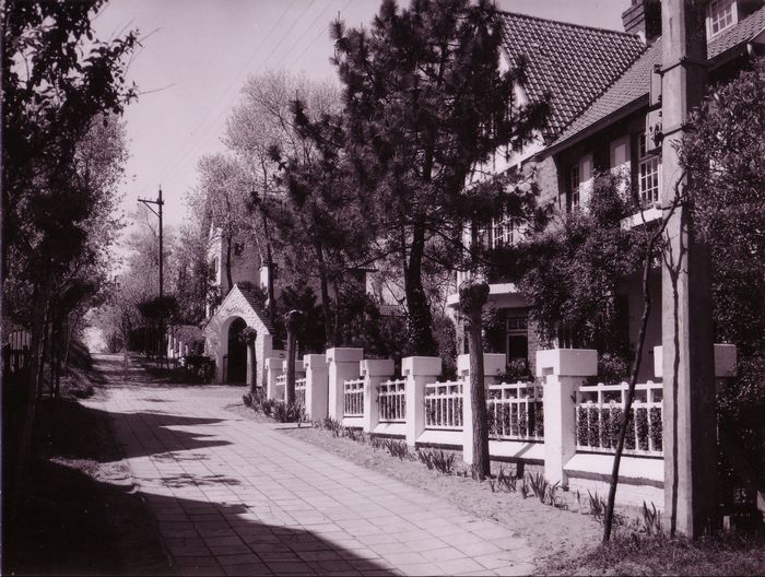 Le roman de Knokke-Le Zoute