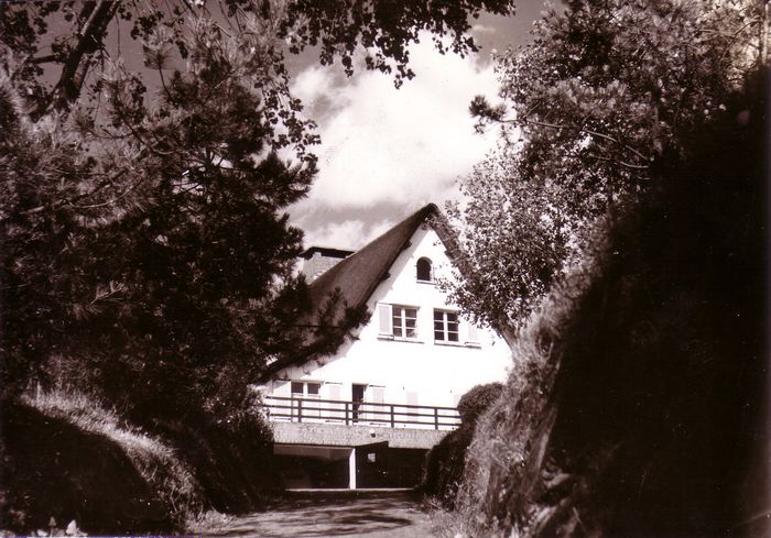 Le roman de Knokke-Le Zoute