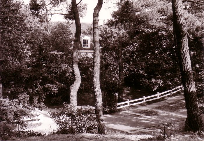 Le roman de Knokke-Le Zoute