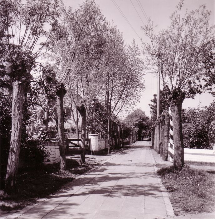 Le roman de Knokke-Le Zoute