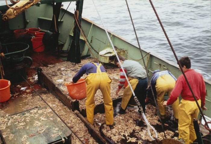 Rijksvisserijschool Heist