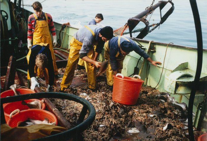 Rijksvisserijschool Heist