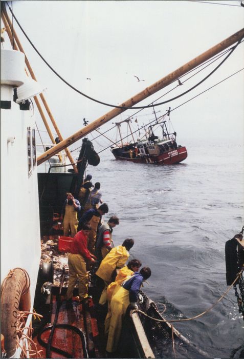 Rijksvisserijschool Heist