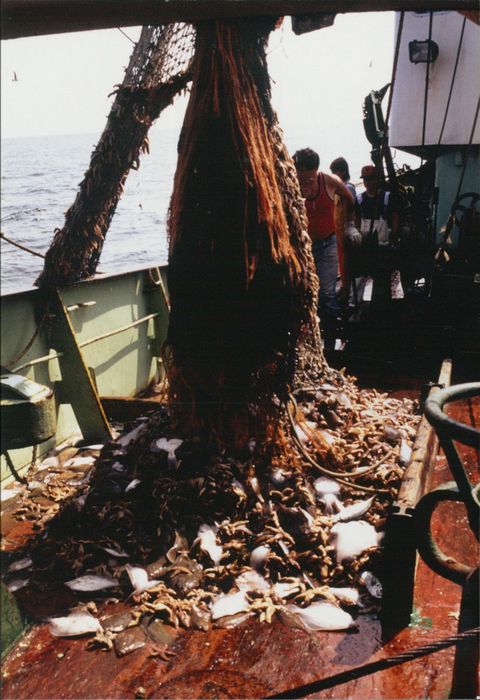 Rijksvisserijschool Heist