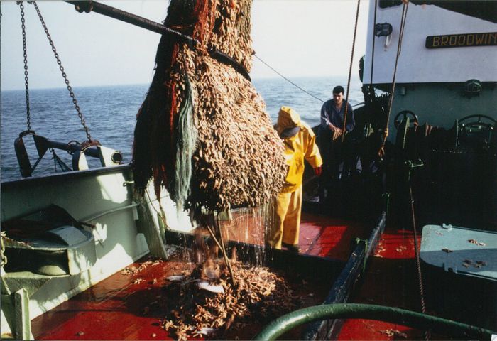 Rijksvisserijschool Heist