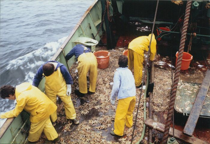 Rijksvisserijschool Heist
