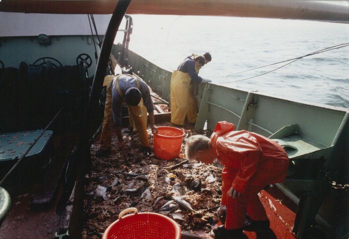 Rijksvisserijschool Heist
