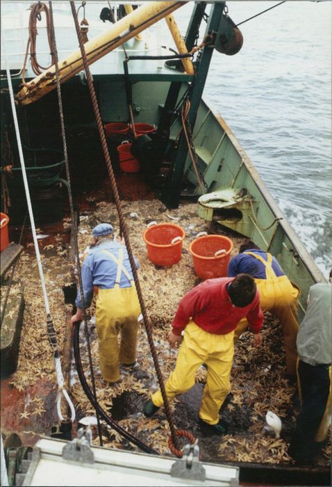 Rijksvisserijschool Heist