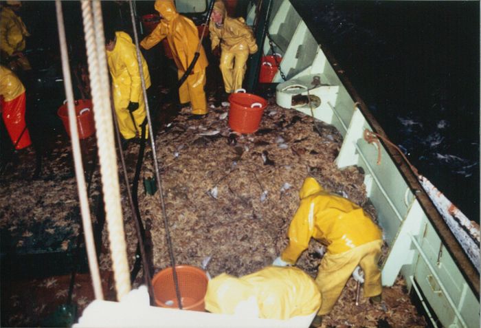 Rijksvisserijschool Heist