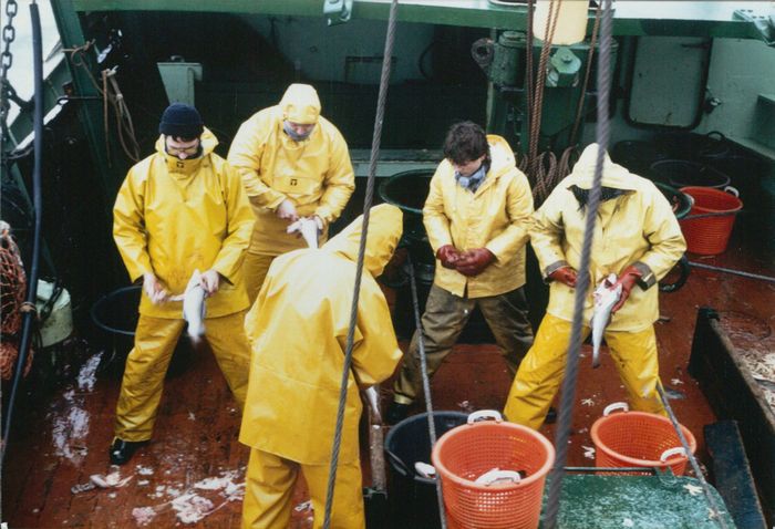 Rijksvisserijschool Heist