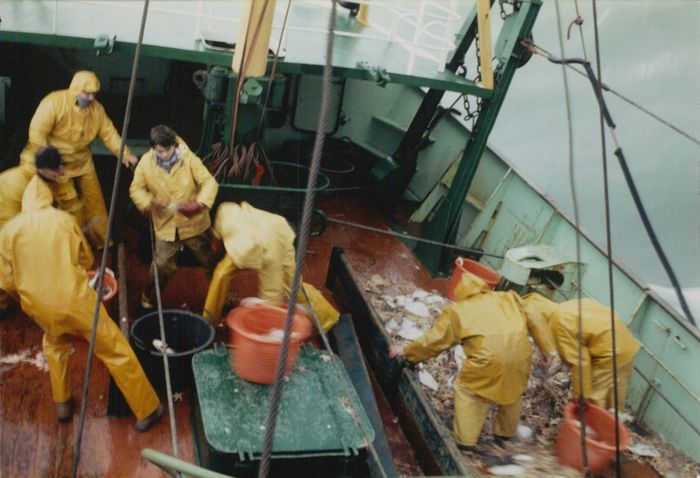 Rijksvisserijschool Heist