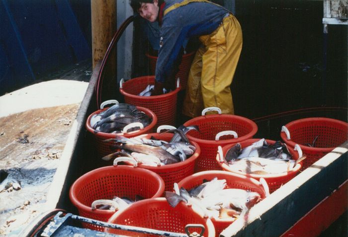 Rijksvisserijschool Heist