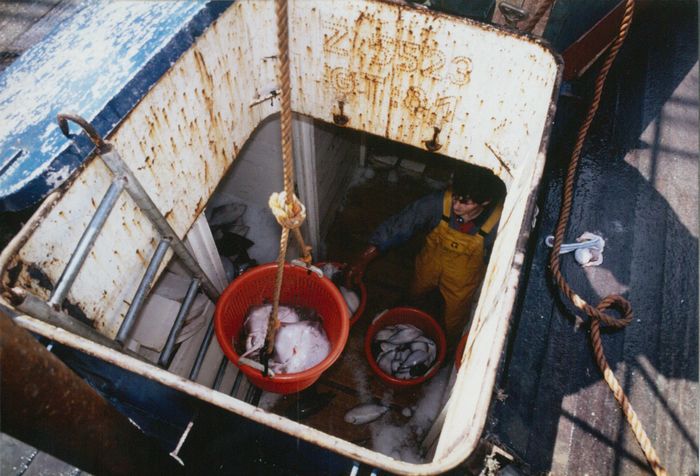 Rijksvisserijschool Heist