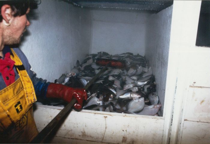 Rijksvisserijschool Heist