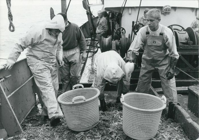 Rijksvisserijschool Heist