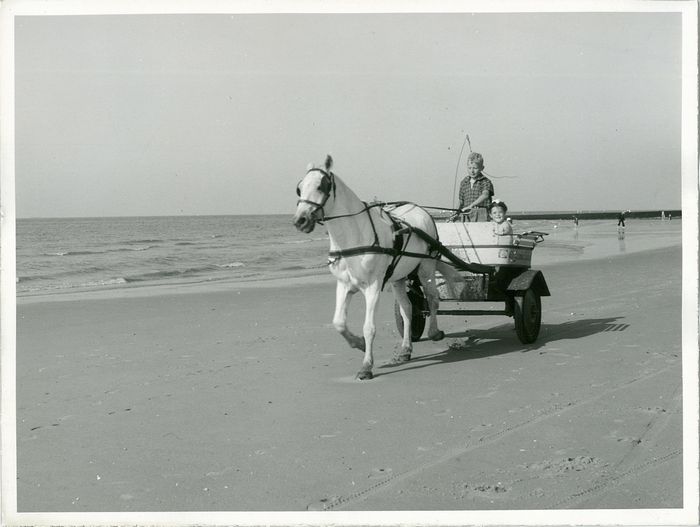 Promotiefoto's Knokke-Heist