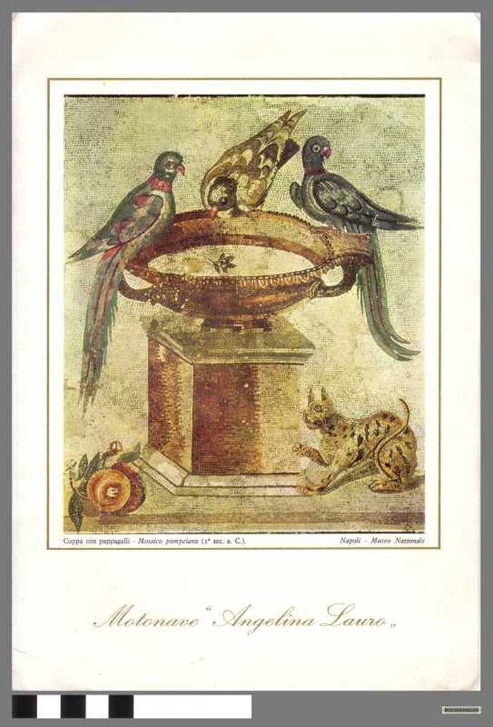 Motonave `Angelina Lauro